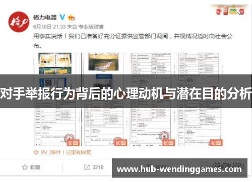 对手举报行为背后的心理动机与潜在目的分析