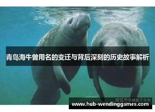 青岛海牛曾用名的变迁与背后深刻的历史故事解析 青岛海牛曾用名的变迁与背后深刻的历史故事解析