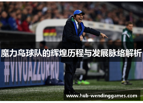 魔力鸟球队的辉煌历程与发展脉络解析